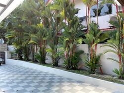 Kim Lin Park (D10), Semi-Detached #304896131
